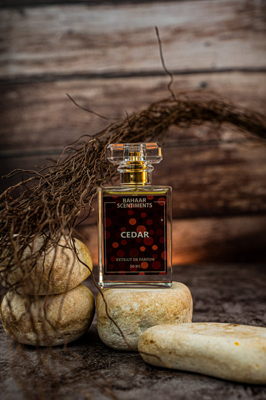 CEDAR